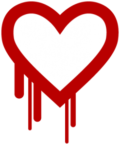 Internet Security - HeartBleed Bug