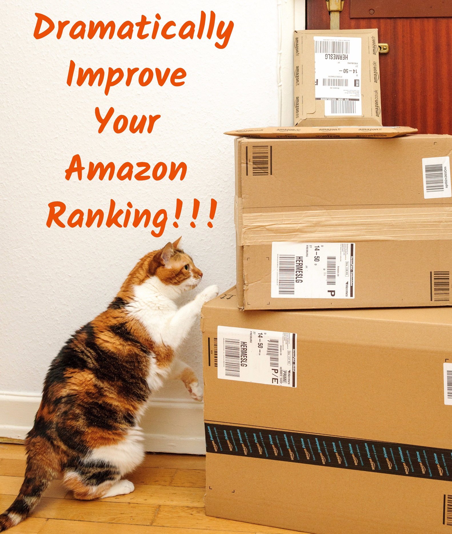 Improve Amazon Ranking