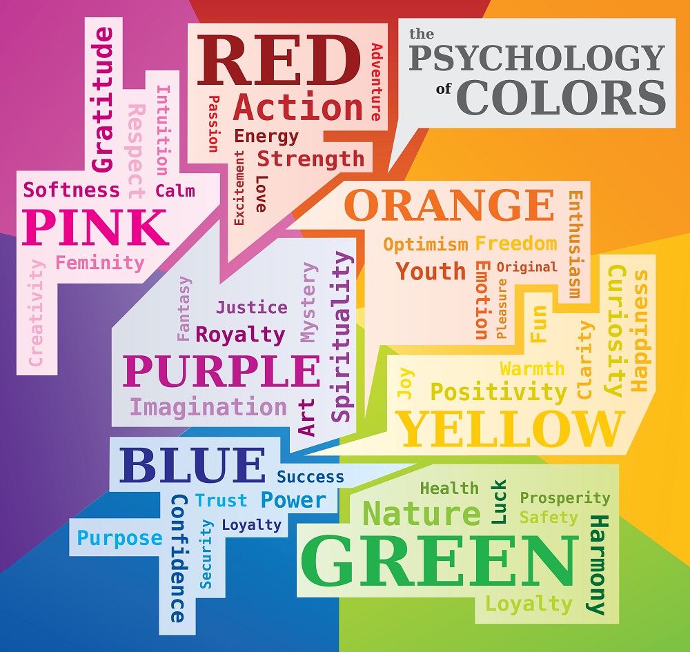 color palette